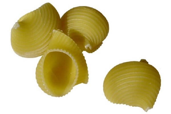 sal sopa sal sopa